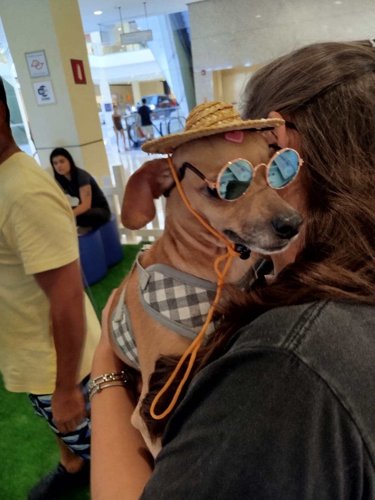 Mel - A pequena madame 2