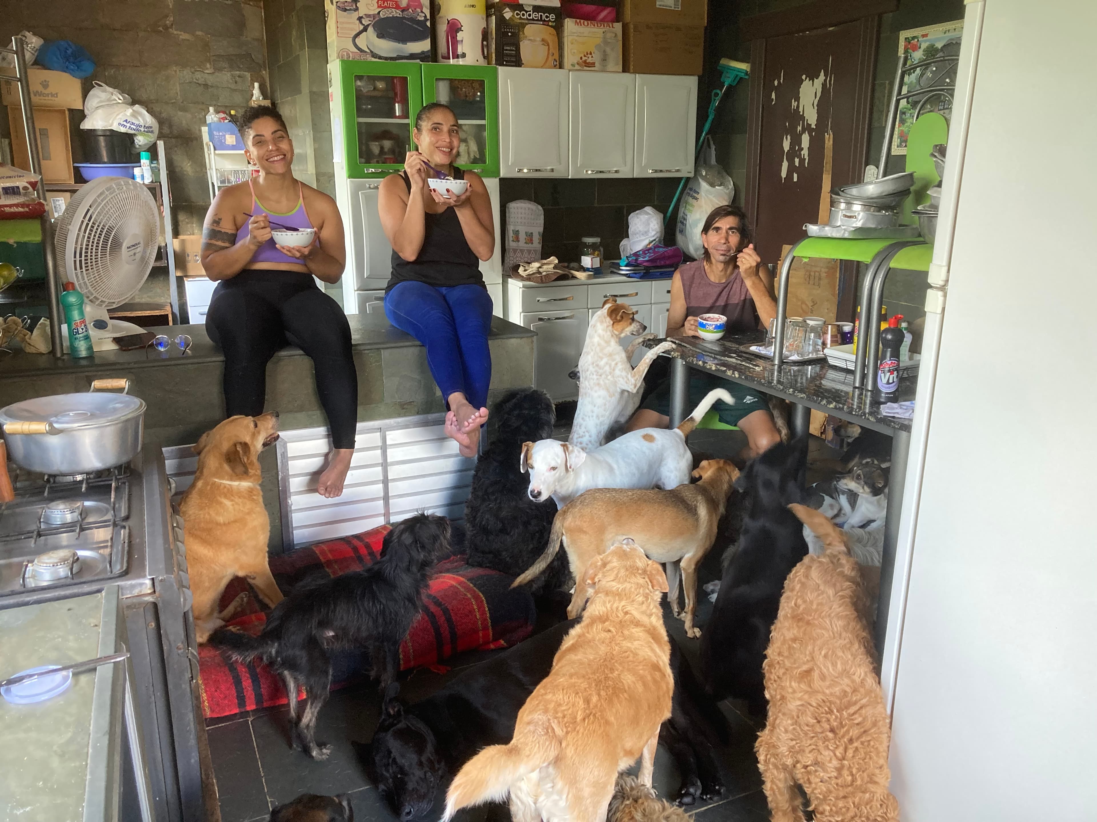 ONG REFÚGIO BENJAMIN AMOR DE PATAS 4