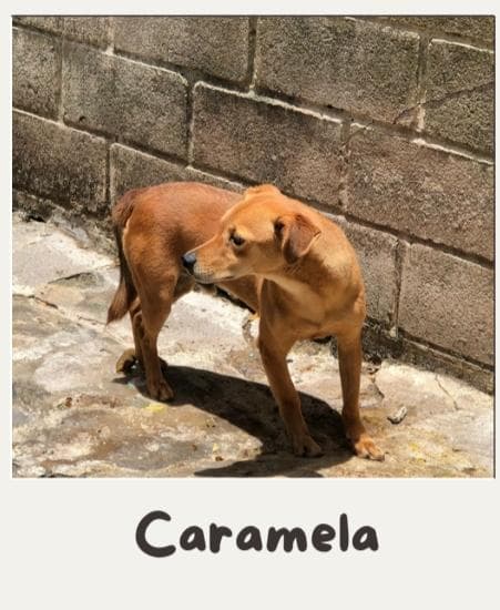 Caramela