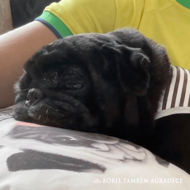 O meu presente é a felicidade deles