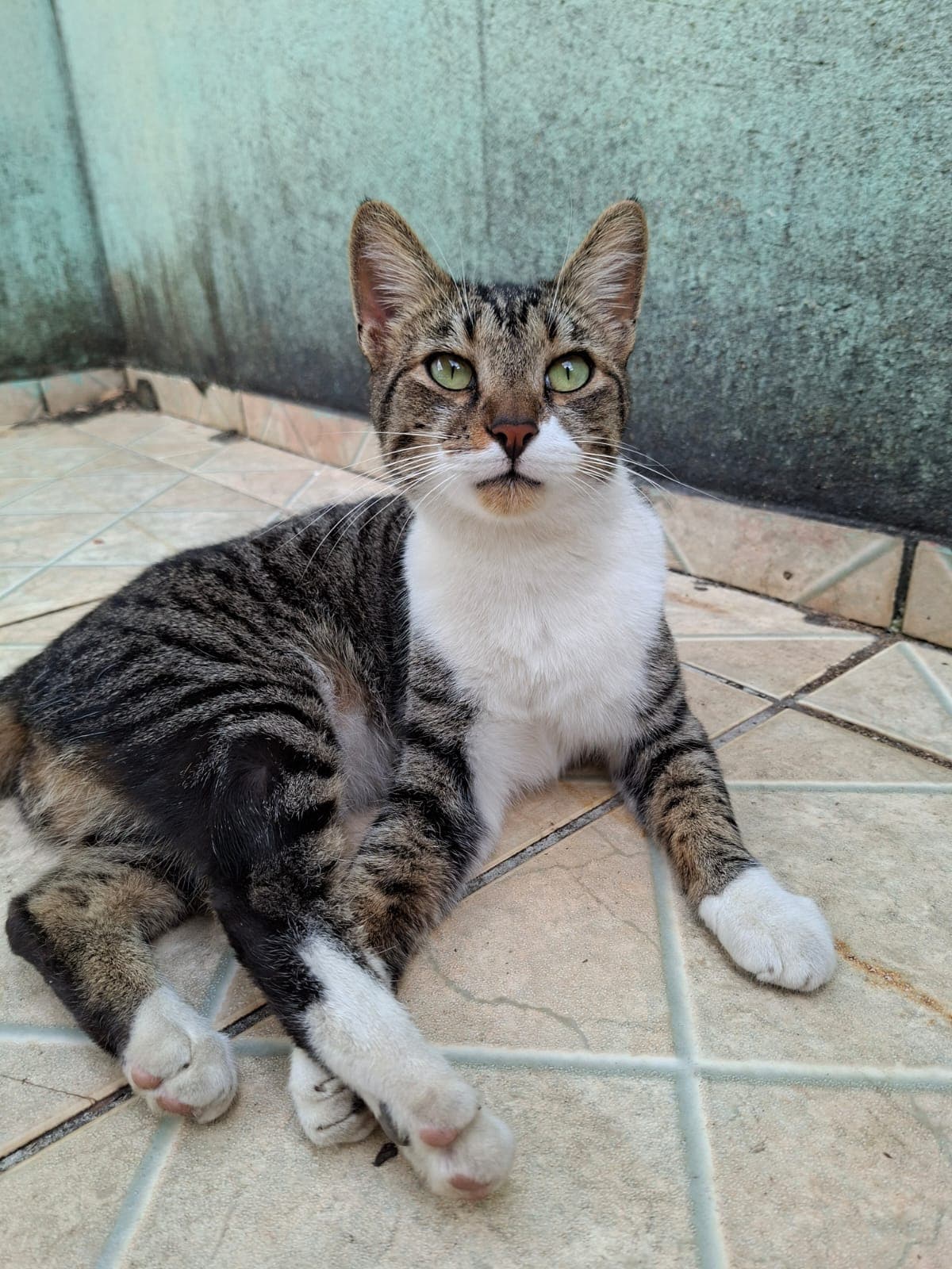 Pirulito 3