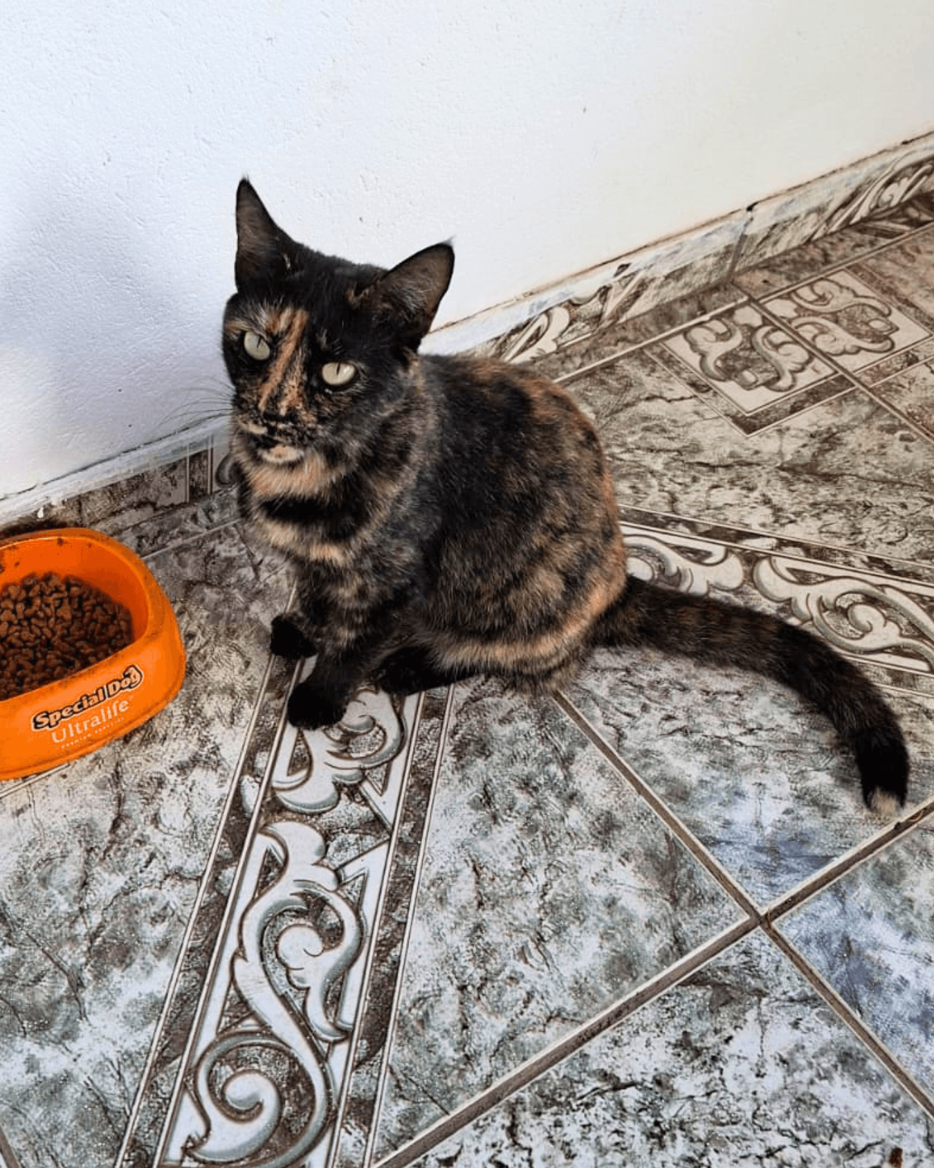 Manchinha 2