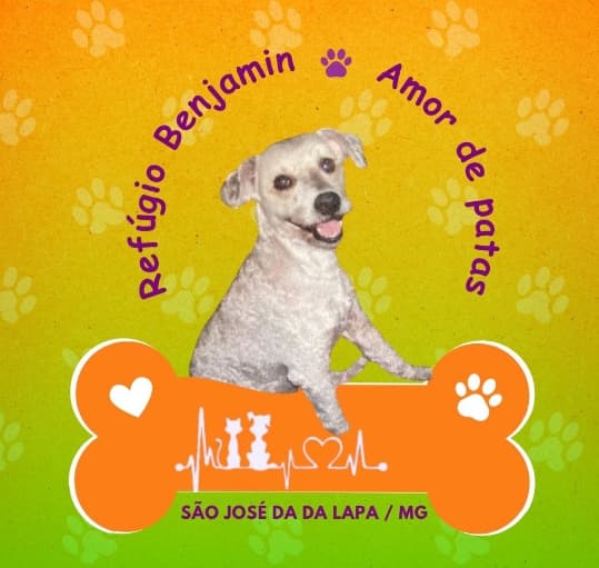 ONG REFÚGIO BENJAMIN AMOR DE PATAS