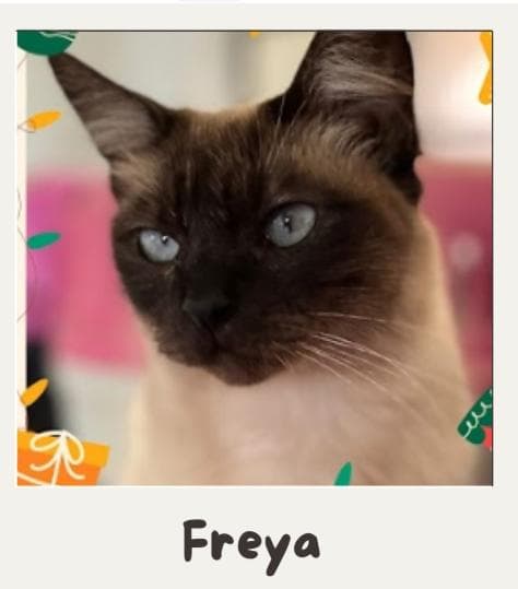 Freya