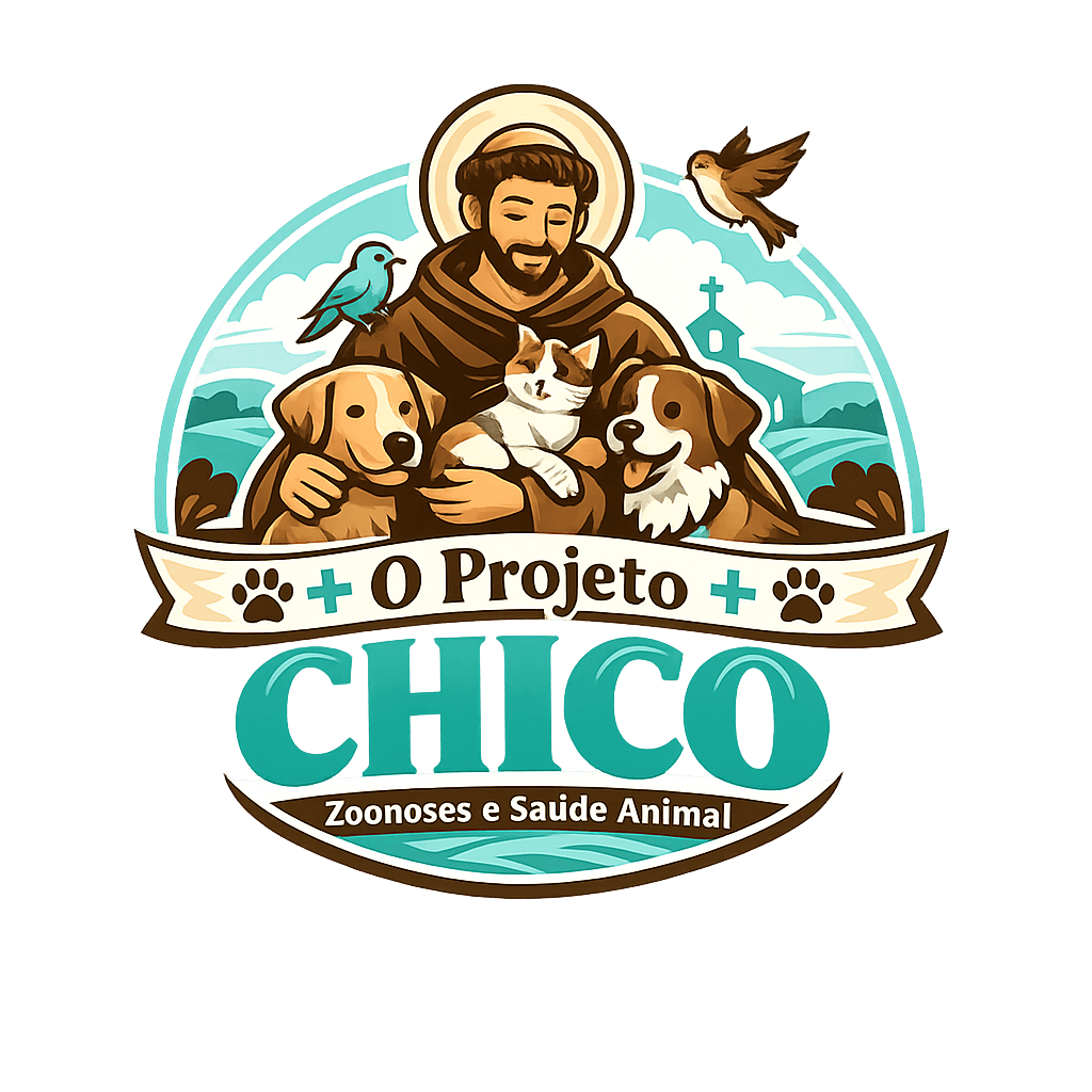 O projeto CHICO