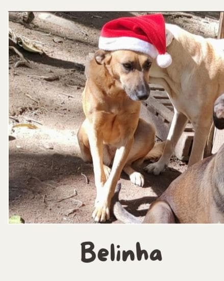 Belinha
